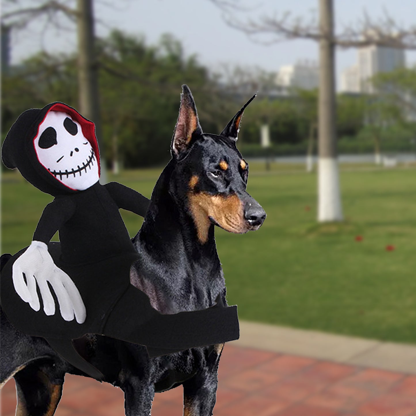 👻 Traje Divertido de Halloween para Perros y Gatos